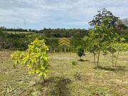 Imóvel para venda tem 1600 metros quadrados com 2...