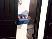 Image Villas Near Fish Farm Satiana Road Faisalabad