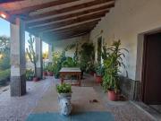 Imagina, reforma y vive: tu casa en Puçol Elche es real Imagina, reforma y vive: tu casa en Puçol Elche es real