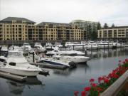 Immaculate Family Home with a POOL!