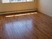 Immediate Renting! A Cozy Renovated 1 bedroom Suite On...