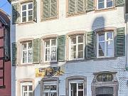 Immeuble Selestat 8 pièce s 277 m2