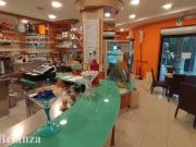 Immobile commerciale a Biassono