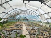 Immobile di 5000 m in affitto a Brescia