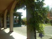 Immobile in affitto a Alba CN