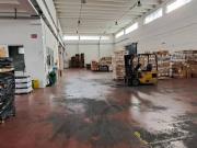 Immobile in affitto a Ancona AN