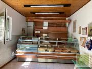 Immobile in affitto a Ancona AN