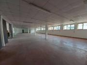 Immobile in affitto a Basiliano UD