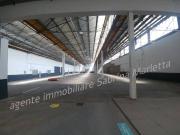 Immobile in affitto a Beinasco TO