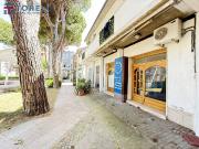 Immobile in affitto a Bellaria Igea Marina RN