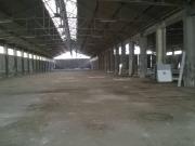 Immobile in affitto a Bisceglie BT