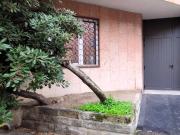 Immobile in affitto a Bologna BO