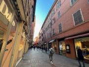 Immobile in affitto a Bologna BO