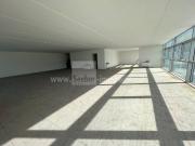 Immobile in affitto a Bolzano BZ