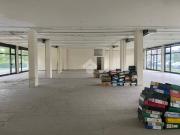 Immobile in affitto a Bussolengo VR