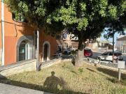 Immobile in affitto a Campobasso CB Immobile in affitto a Campobasso CB