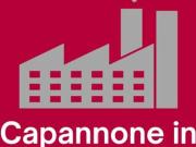 Immobile in affitto a Cassola VI