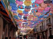 Immobile in affitto a Catania CT