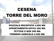 Immobile in affitto a Cesena FC