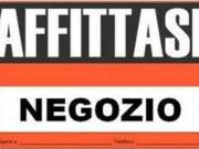 Immobile in affitto a Crema CR