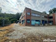 Immobile in affitto a Crescentino VC