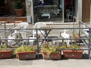 Attività / Licenza in vendita a Firenze FI