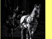 Immobile in affitto a Firenze FI