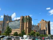 Immobile in affitto a Firenze FI