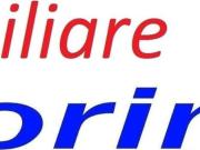 Immobile in affitto a Firenze FI