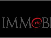 Immobile in affitto a Firenze FI
