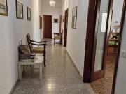 Immobile in affitto a Firenze FI