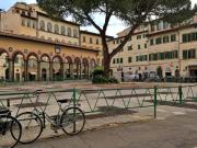 Immobile in affitto a Firenze FI