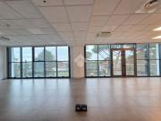 Immobile in affitto a Frascati RM