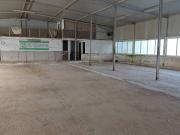 Immobile in affitto a Genzano di Roma RM