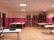 Immobile in affitto a Grosseto GR