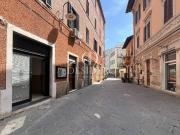 Immobile in affitto a Grosseto GR
