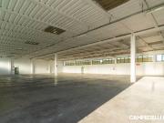 Immobile in affitto a Isola Rizza VR