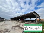 Immobile in affitto a Ladispoli RM