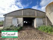 Immobile in affitto a Ladispoli RM