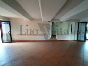 Immobile in affitto a Lucca LU