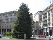 Immobile in affitto a Mantova MN