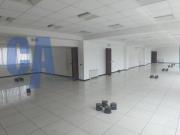 Immobile in affitto a Milano MI