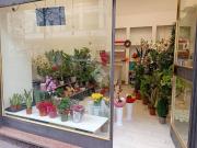 Immobile in affitto a Milano MI