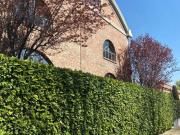 Immobile in affitto a Milano MI