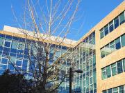 Immobile in affitto a Milano MI