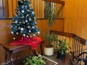 Immobile in affitto a Milano MI