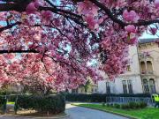 Immobile in affitto a Milano MI