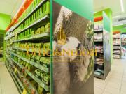 Immobile in affitto a Milano MI