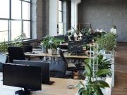 Immobile in affitto a Milano MI