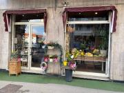 Immobile in affitto a Moncalieri TO